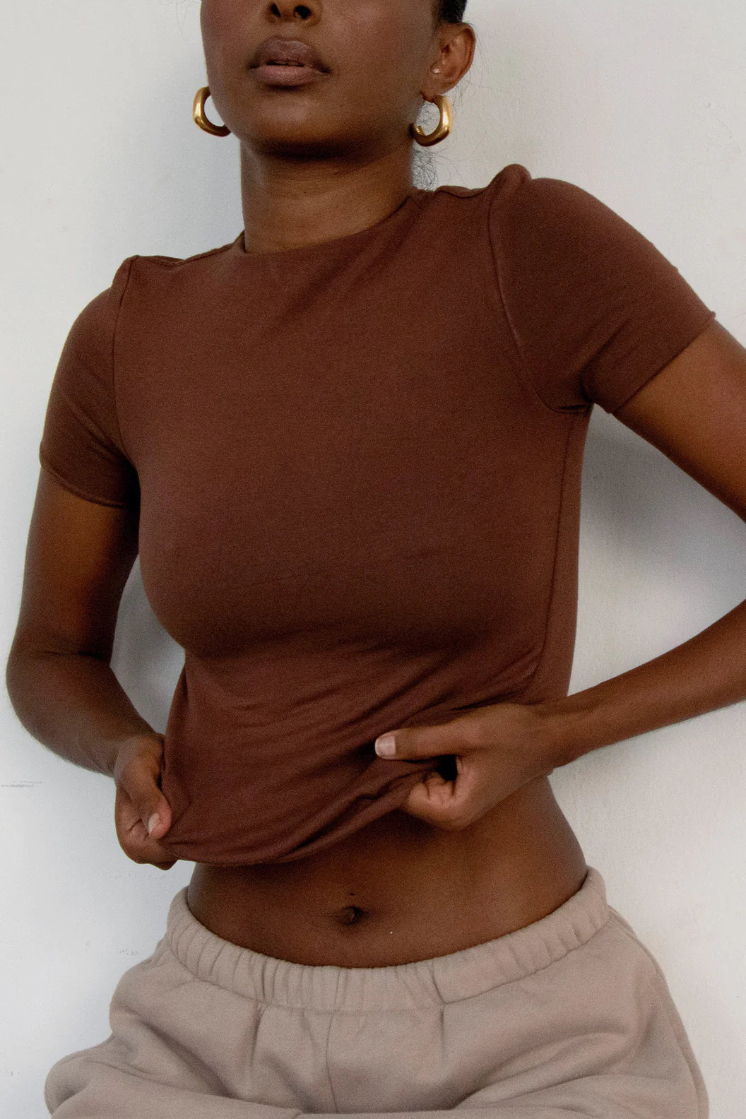 The Basic Brown Top